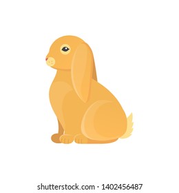 Cartoon rabbit vector isolated icon. Fine bunny pet