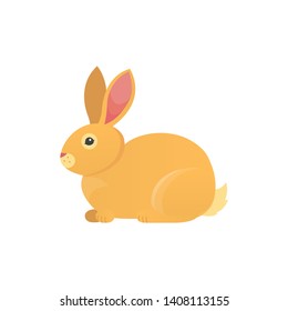 Cartoon rabbit vector isolated icon. Fine bunny pet.