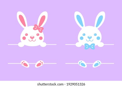 Cartoon rabbit white frame is empty For adding your message Isolated on background