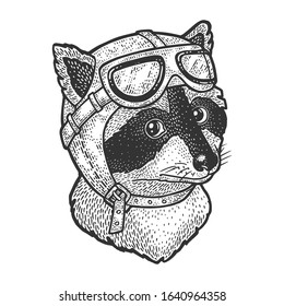 Cartoon raccoon aviator pilot helmet hat sketch engraving vector illustration. T-shirt apparel print design. Scratch board imitation. Black and white hand drawn image.