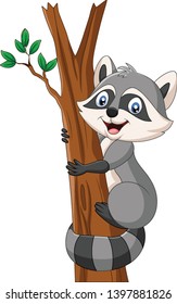 Cartoon Raccoon climbing on the tree