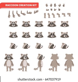 Cartoon raccoon creation set. Various gestures, emotions, diverse poses, views. Create your own pose, animation. Flat style vector illustration