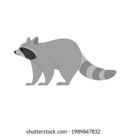 Cartoon raccoon, cute character for children. Vector illustration in cartoon style for abc book, poster, postcard. 