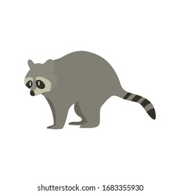 Cartoon raccoon. Cute Cartoon raccoon, Vector illustration on a white background. Drawing for children.