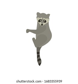 Cartoon raccoon. Cute Cartoon raccoon, Vector illustration on a white background. Drawing for children.