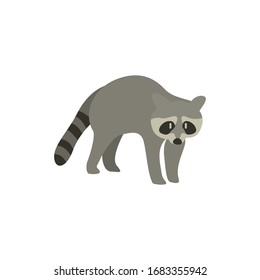 Cartoon raccoon. Cute Cartoon raccoon, Vector illustration on a white background. Drawing for children.