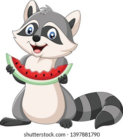 Cartoon raccoon eating watermelon on a white background 