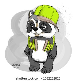 Cartoon raccoon  in hat drawing. A good character for children. Vector illustration