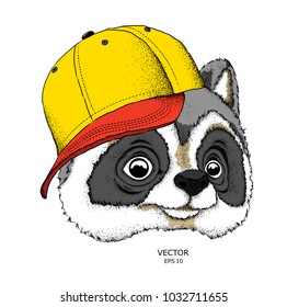 Cartoon raccoon  in hat drawing. A good character for children. Vector illustration
