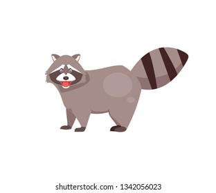 Cartoon raccoon isolated on white background. Vector illustration