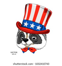 Cartoon raccoon  in old American hat drawing. A good character for children. Vector illustration