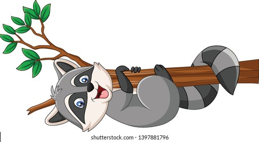 Cartoon Raccoon on the tree branch