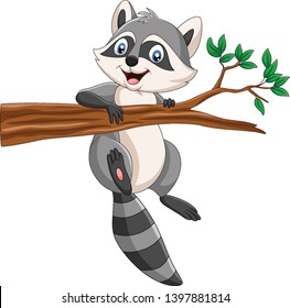 Cartoon Raccoon on the tree branch