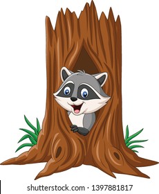 Cartoon raccoon sitting in hollow of a tree