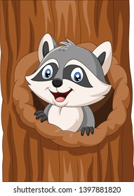 Cartoon raccoon sitting in hollow of a tree