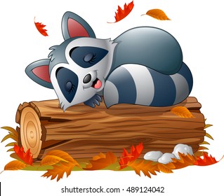 Cartoon raccoon sleeping in the autumn weather