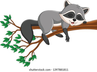 Cartoon raccoon sleeping on the tree branch