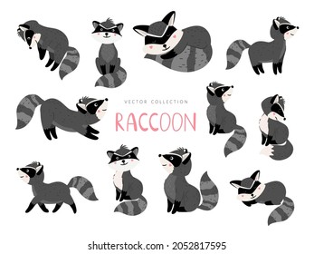 Cartoon Racoon. Raccoon Character Poses Isolated On White Background, Small Paws And Fluffy Tail Happy Racocoon Dweller Graphics, Vector Amusement Mammal Cute Coon Vector Illustration