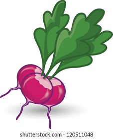 Cartoon radish