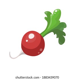 Cartoon radish isolated on white background. Vector illustration.