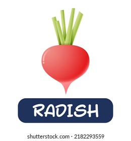 cartoon radish vegetables vector isolated on white background