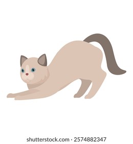 Cartoon ragdoll cat stretching its body, getting ready to play