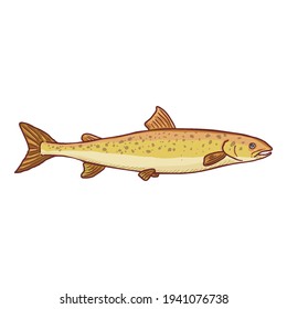 Cartoon Rainbow Trout Vector Fish Illustration. Side View.