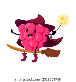 Cartoon raspberry berry wizard or magician character riding broomstick. Funny vector mage Halloween personage in hat flying on wooden broom with glowing wand. Smiling wiz or sorcerer with cute face