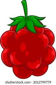 Cartoon Raspberry Fruit. Vector Hand Drawn Illustration Isolated On Transparent Background
