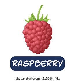 cartoon raspberry fruit vector isolated on white background