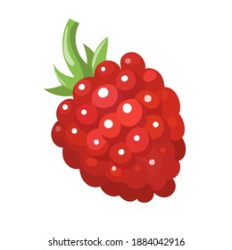 Cartoon raspberry isolated on white background. Vector illustration.