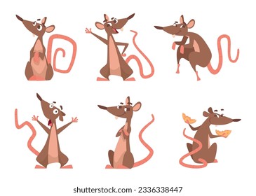 Cartoon rat. Lab mouse in action poses exact cute vector character animals