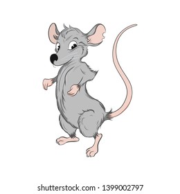 cartoon rat, vector illustration, design element