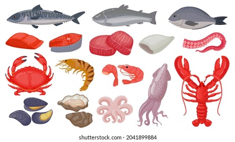 Cartoon raw seafood, fish, fresh salmon, lobster and squid. Ocean shrimp, tuna steak, shellfish and octopus tentacle. Marine food vector set. Products for shop or restaurant, healthy meal