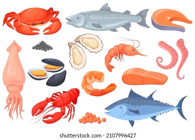 Cartoon raw seafood. Sea fish gourmet food, crayfish squid shrimp salmon crab trout shellfish, lobster dinner, ocean red meat recipe, healthy meal fresh tuna neat vector illustration
