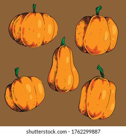 Calabaza realista de dibujos animados sobre fondo marrón. Ilustración del vector