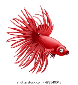 Cartoon red betta fish, siamese fighting fish, betta splendens crown tail isolated on white background. Vector cartoon close-up illustration.