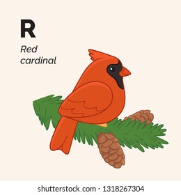 Cartoon red cardinal, cute character for children, bird collection. Vector illustration in cartoon style. Animal alphabet.