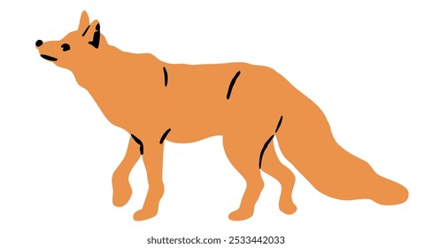 Cartoon Red Fox. Cute walking fox. Vector fox character, predator fox icon or wildlife forest animal mammal. Animal icon