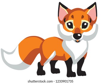 cartoon red fox .Isolated vector for baby and little kid