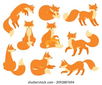 Cartoon red foxes sitting or sleeping, wildlife forest animals. Cute baby fox with mother, woodland animal mascot in different poses vector set. Smiley clever character walking, hunting