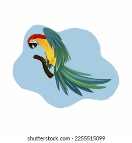 cartoon red head parrot on a branch on white background isolate.vector illustration