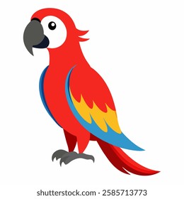 Cartoon red macaw parrot isolated on white background.Cute talking domestic bird.Suitable for education poster infographic guide catalog, children's books. Pro Vector.Isolated on white background. 