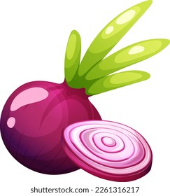 Cartoon red onion with sliced round piece on transparent background. Vegetable Collection