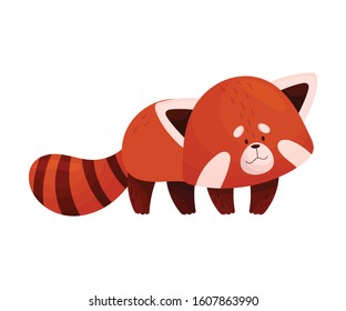 Cartoon Red Panda Character Standing on Paws Vector Illustration