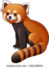 Cartoon red panda isolated on white background