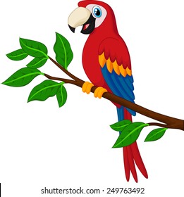  Cartoon red parrot on a branch 