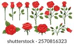 Cartoon red roses. Queen of flowers. Blooming plant stems. Romantic love botanical symbol. Twigs with green leaves. Valentine bouquet. Garden branches. Blossom buds