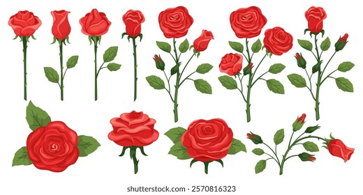 Cartoon red roses. Queen of flowers. Blooming plant stems. Romantic love botanical symbol. Twigs with green leaves. Valentine bouquet. Garden branches. Blossom buds