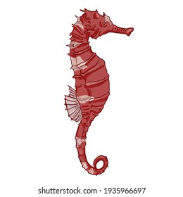 Cartoon Red Seahorse Vector Illustration